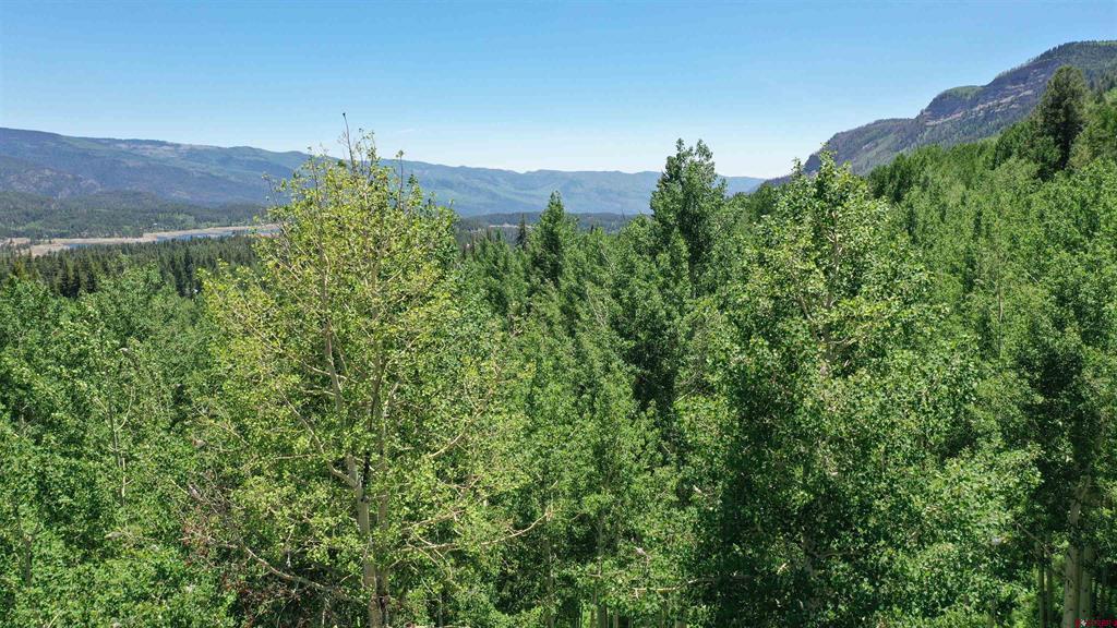 311 Wilshire Drive Durango CO 81301