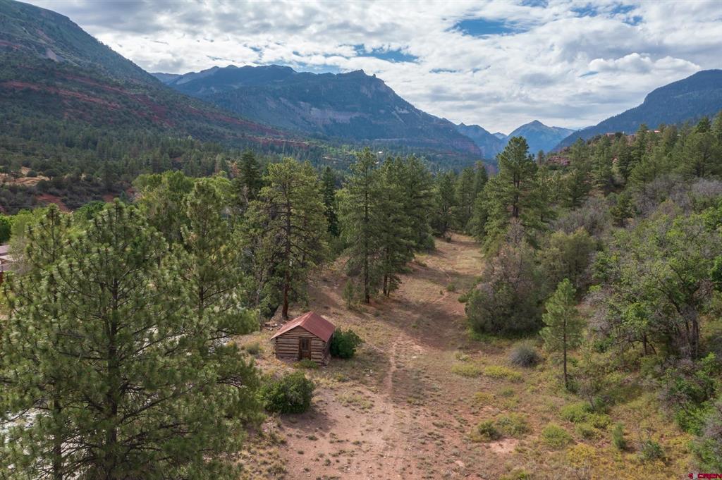 Tbd County Road 23 Ouray CO 81432