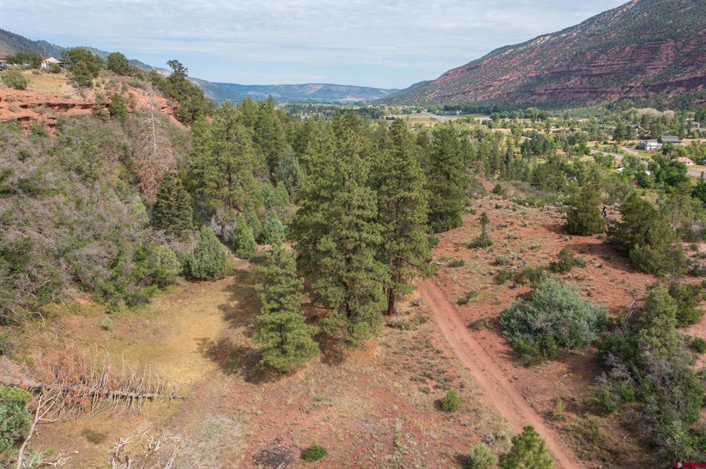 Tbd County Road 23 Ouray CO 81432