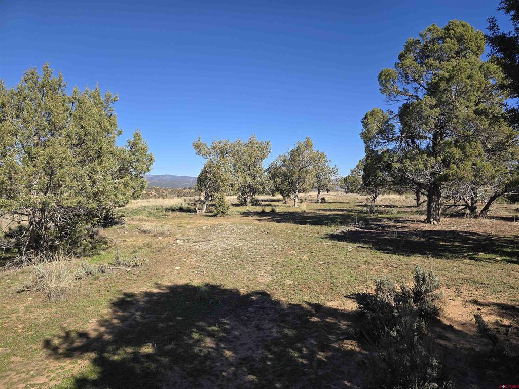 100 & 110 Wrangler Way Durango CO 81303