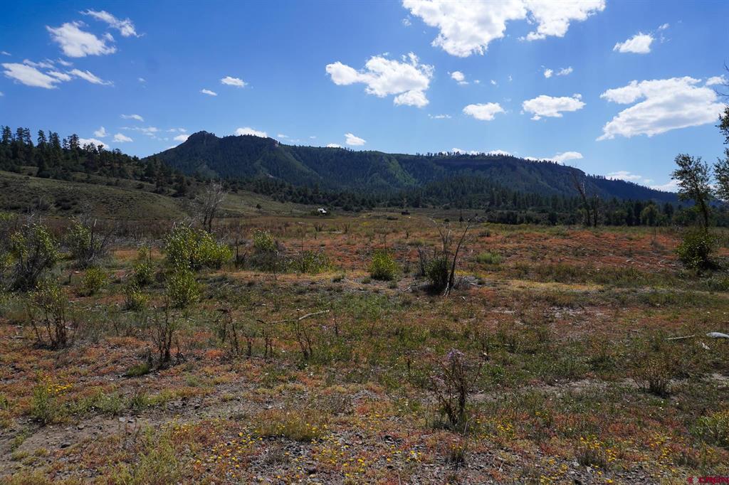 14450 County Road 500 Pagosa Springs CO 81147