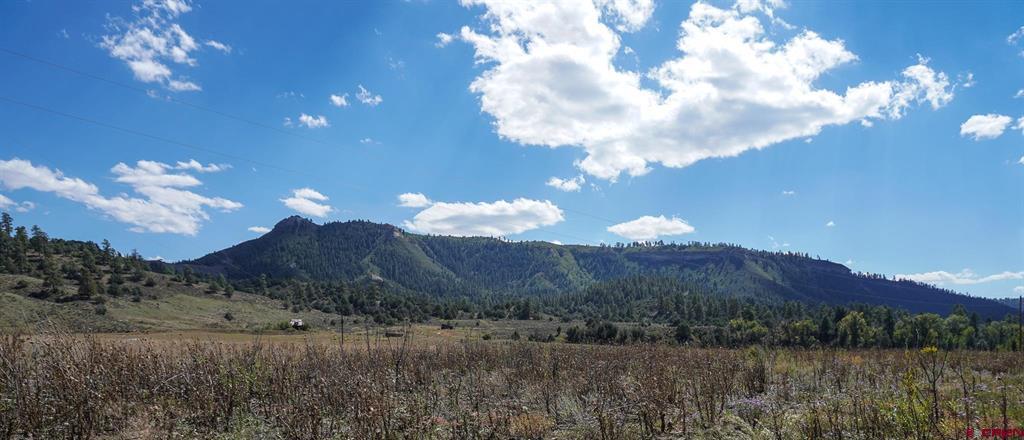 14450 County Road 500 Pagosa Springs CO 81147