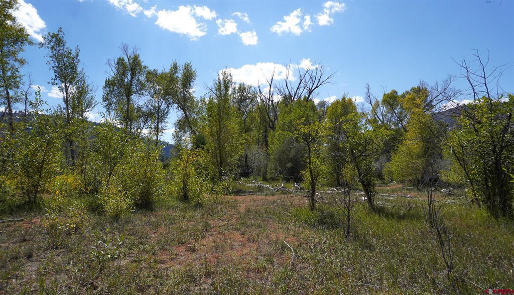 14450 County Road 500 Pagosa Springs CO 81147