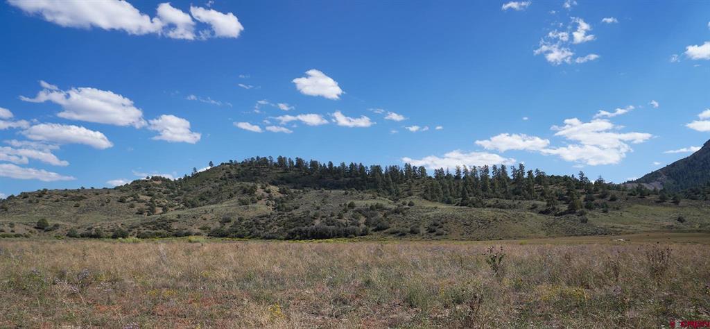 14450 County Road 500 Pagosa Springs CO 81147