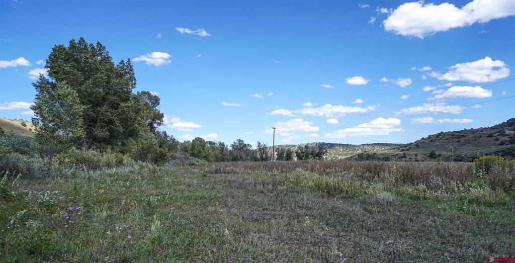 14450 County Road 500 Pagosa Springs CO 81147