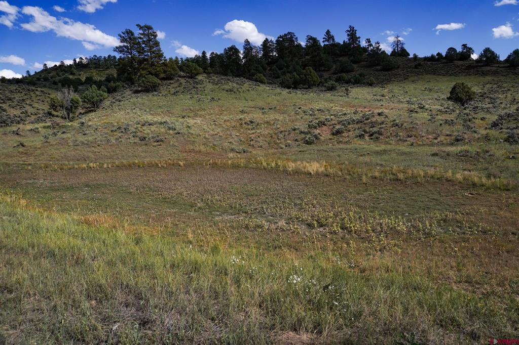 14450 County Road 500 Pagosa Springs CO 81147