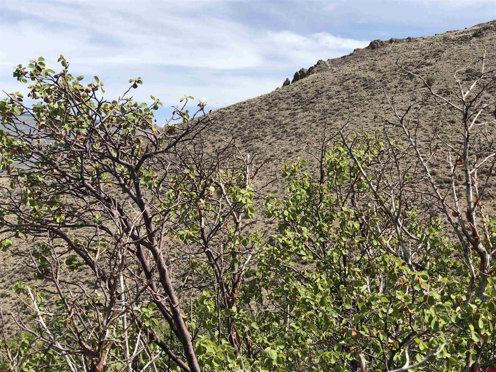 Lot 39 Sequoia Drive Gunnison CO 81230