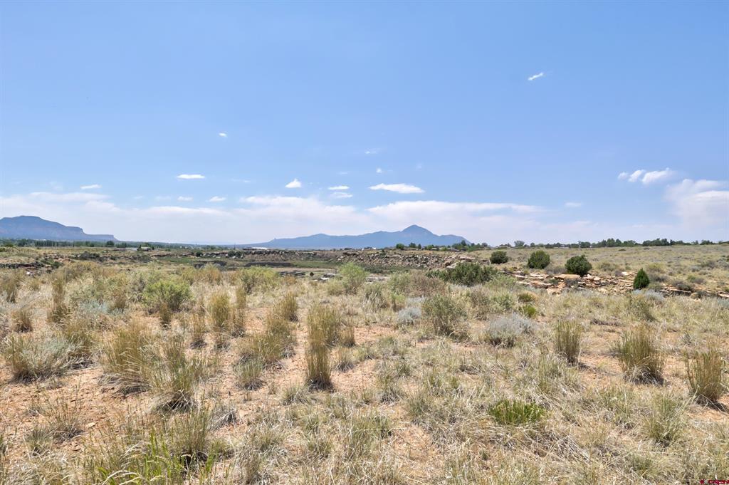 1125 Bluffs Boulevard Cortez CO 81321