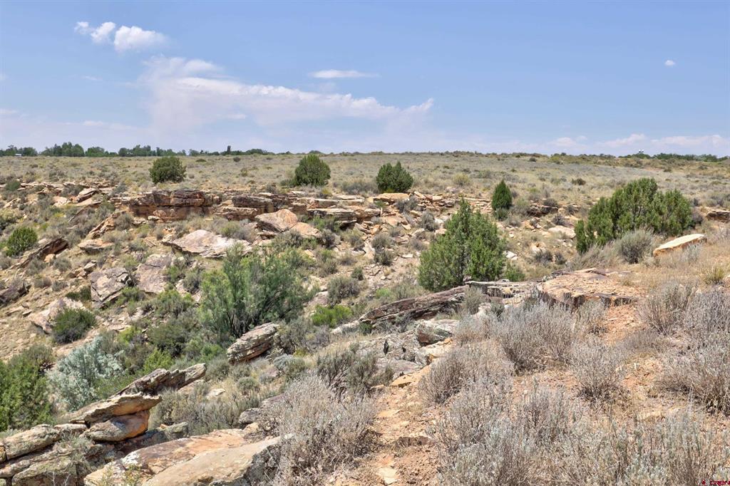 1125 Bluffs Boulevard Cortez CO 81321