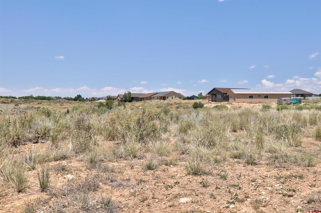 1125 Bluffs Boulevard Cortez CO 81321