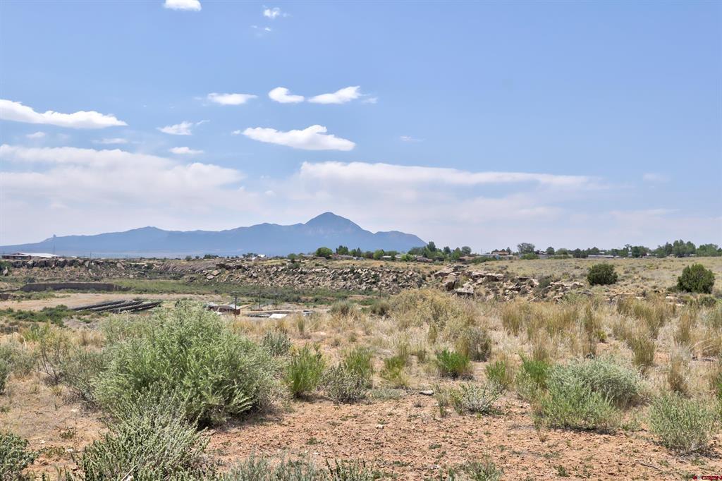 1125 Bluffs Boulevard Cortez CO 81321
