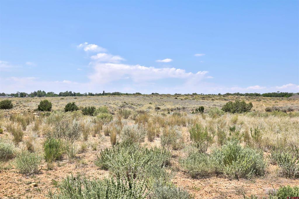 1125 Bluffs Boulevard Cortez CO 81321