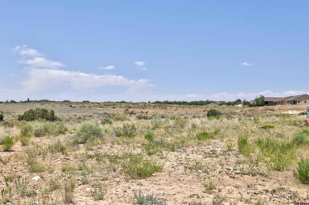 1125 Bluffs Boulevard Cortez CO 81321