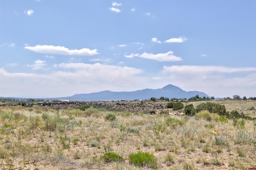 1125 Bluffs Boulevard Cortez CO 81321
