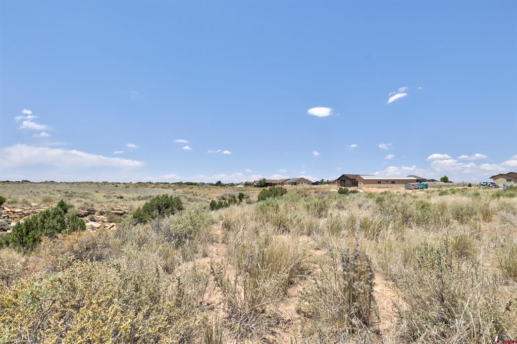 1125 Bluffs Boulevard Cortez CO 81321