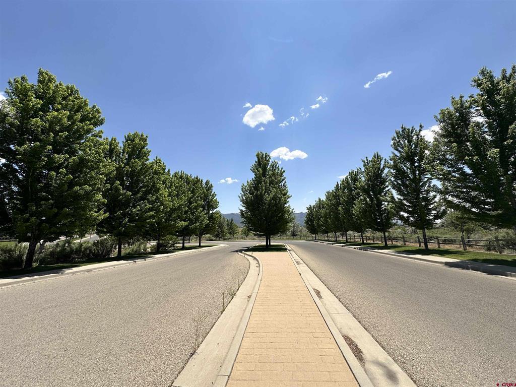 1125 Bluffs Boulevard Cortez CO 81321