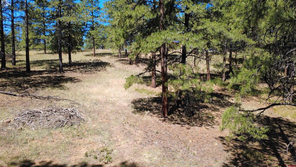 1203 Gun Barrel Road Pagosa Springs CO 81147