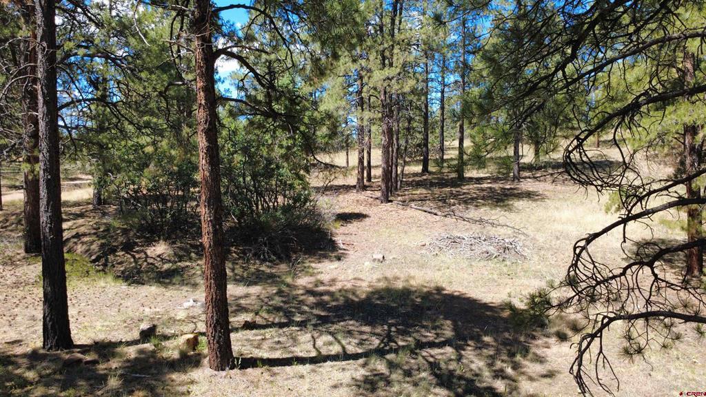 1203 Gun Barrel Road Pagosa Springs CO 81147