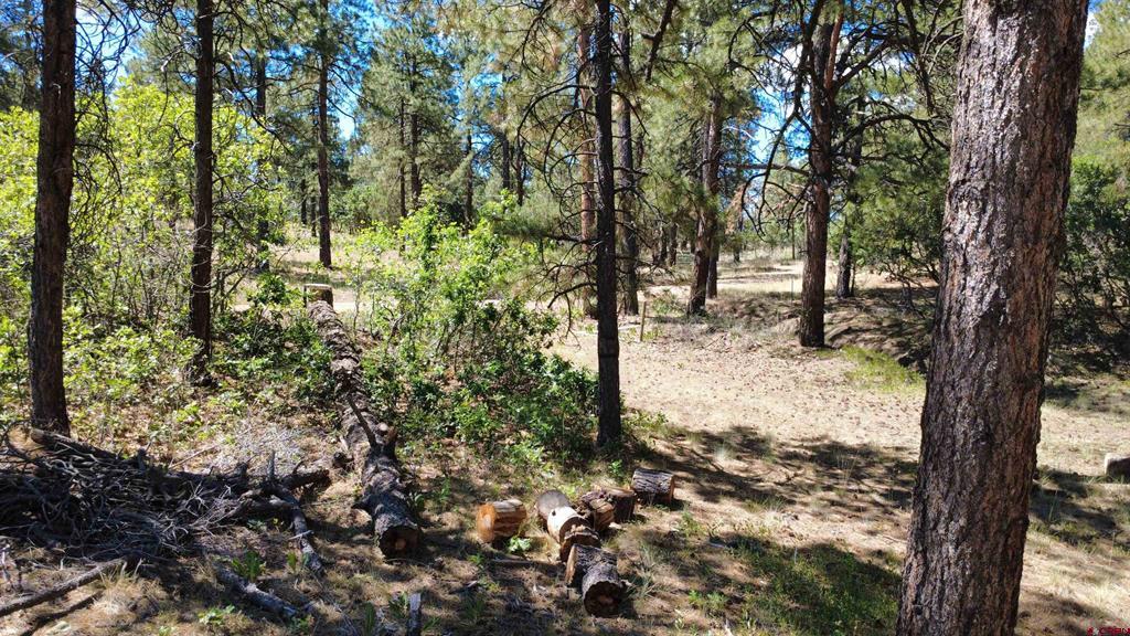 1203 Gun Barrel Road Pagosa Springs CO 81147