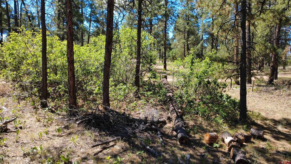 1203 Gun Barrel Road Pagosa Springs CO 81147