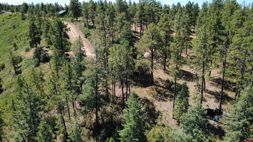 1203 Gun Barrel Road Pagosa Springs CO 81147