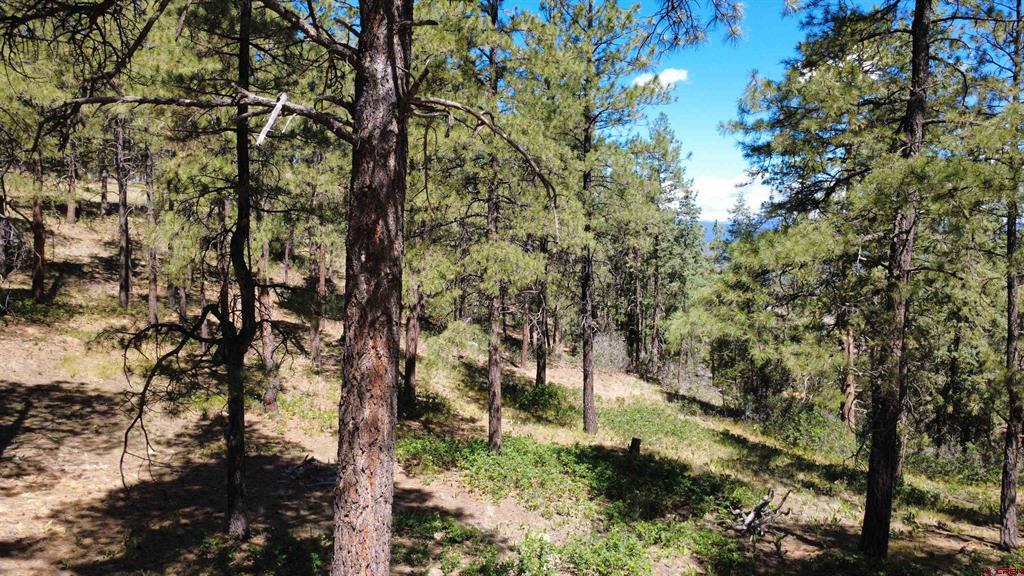 1203 Gun Barrel Road Pagosa Springs CO 81147