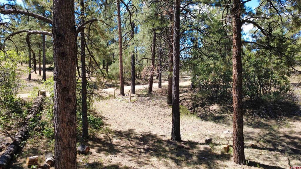 1203 Gun Barrel Road Pagosa Springs CO 81147