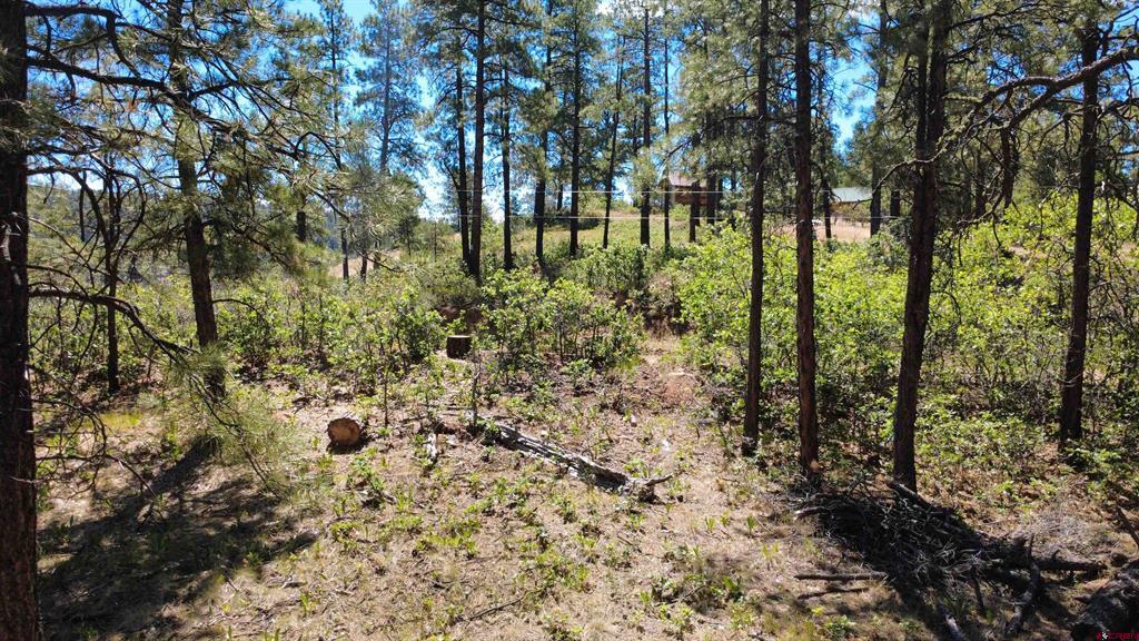 1203 Gun Barrel Road Pagosa Springs CO 81147