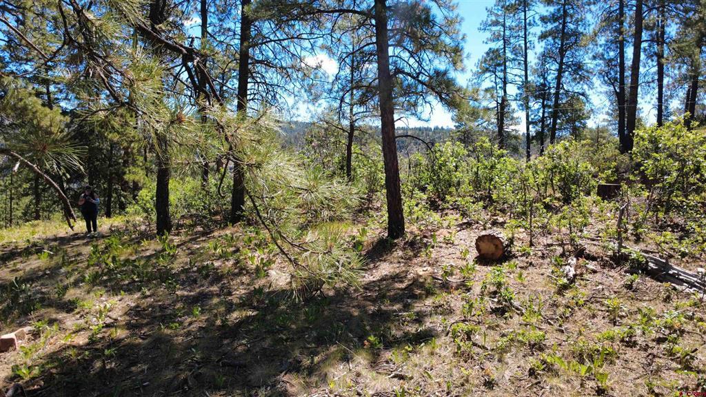 1203 Gun Barrel Road Pagosa Springs CO 81147