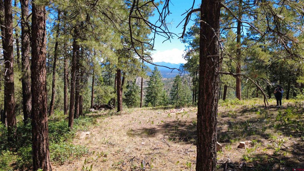 1203 Gun Barrel Road Pagosa Springs CO 81147