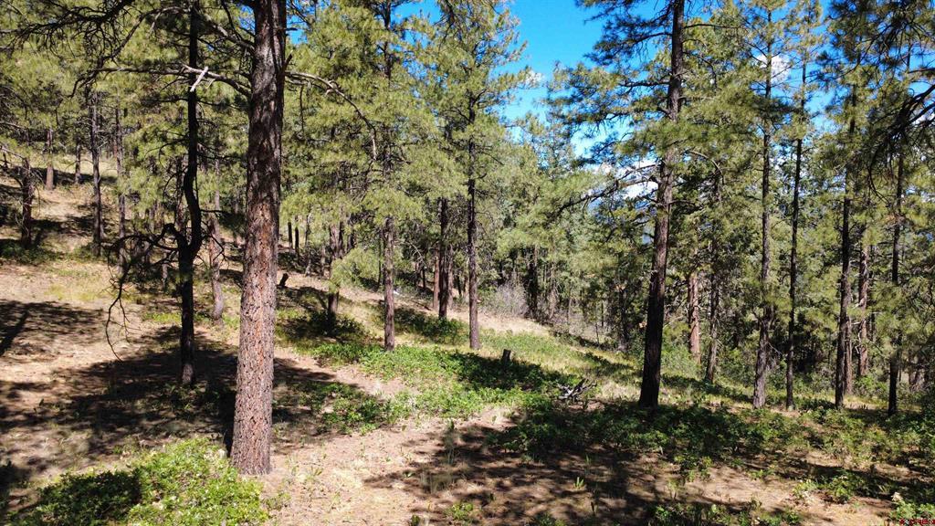 1203 Gun Barrel Road Pagosa Springs CO 81147