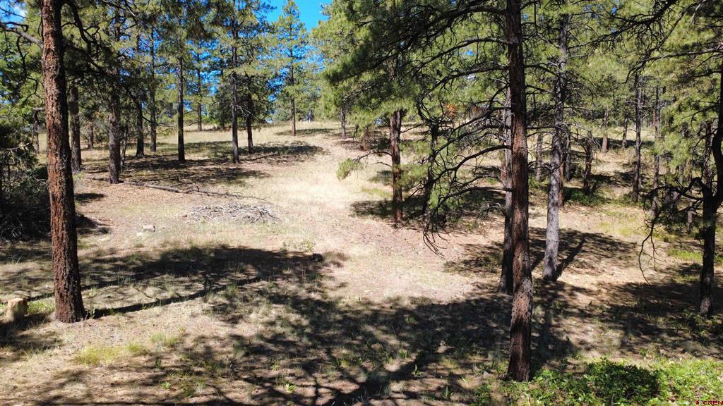 1203 Gun Barrel Road Pagosa Springs CO 81147