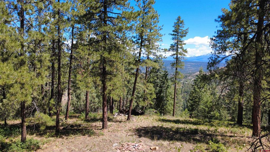 1203 Gun Barrel Road Pagosa Springs CO 81147