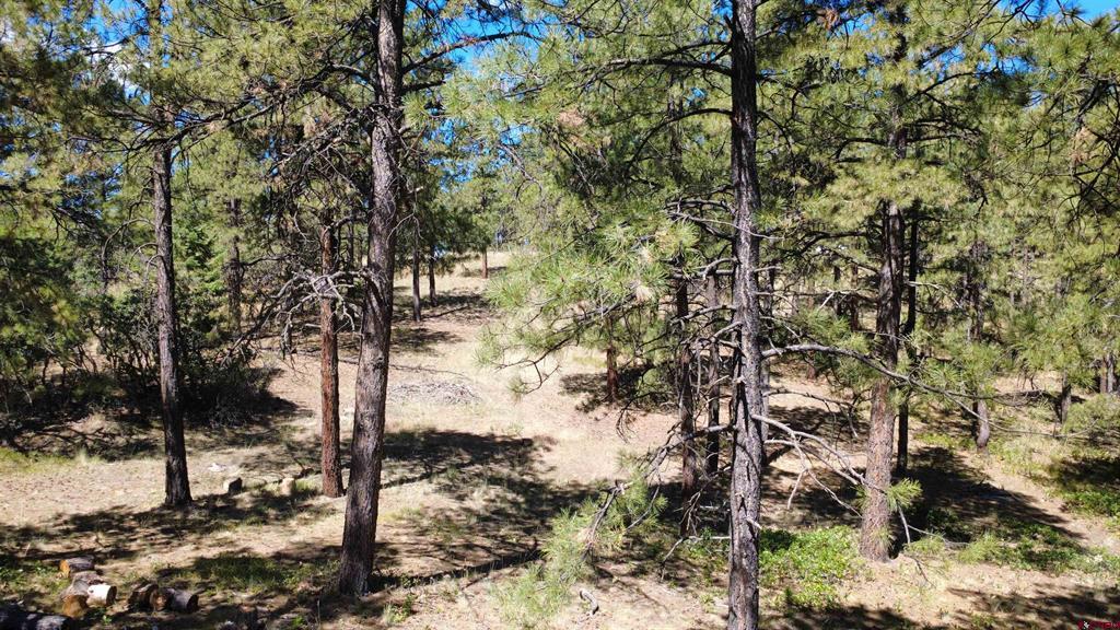1203 Gun Barrel Road Pagosa Springs CO 81147