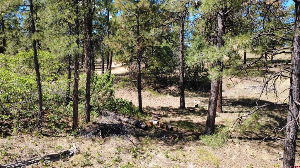 1203 Gun Barrel Road Pagosa Springs CO 81147