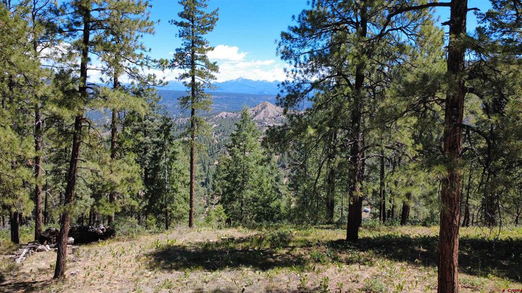 1203 Gun Barrel Road Pagosa Springs CO 81147