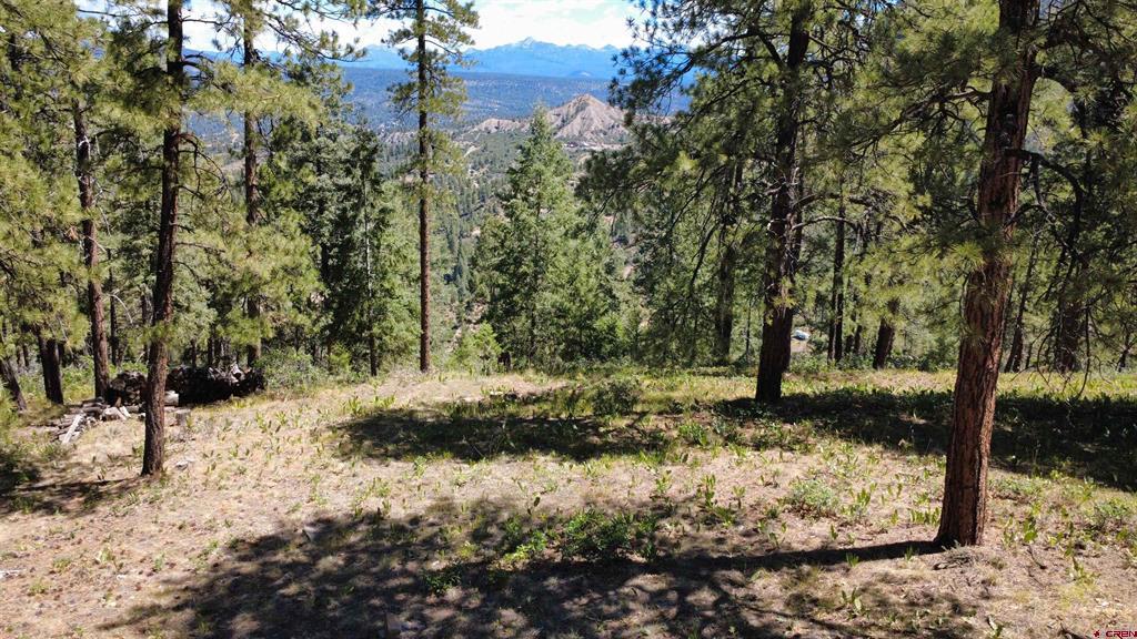 1203 Gun Barrel Road Pagosa Springs CO 81147