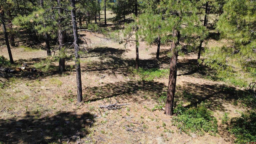 1203 Gun Barrel Road Pagosa Springs CO 81147