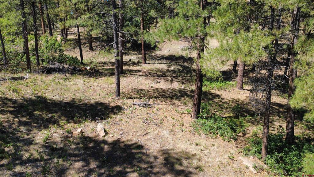 1203 Gun Barrel Road Pagosa Springs CO 81147