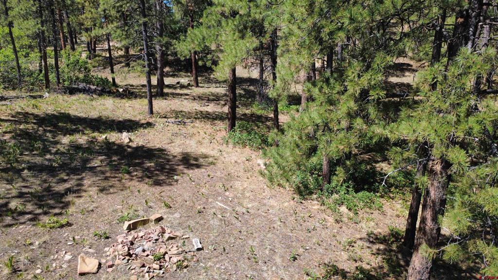 1203 Gun Barrel Road Pagosa Springs CO 81147