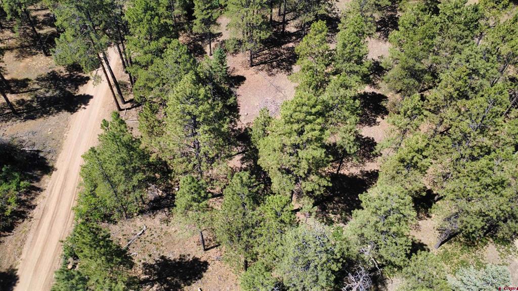 1203 Gun Barrel Road Pagosa Springs CO 81147