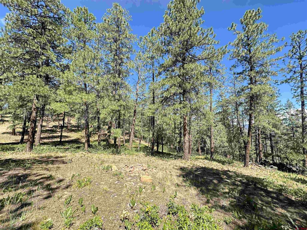 1203 Gun Barrel Road Pagosa Springs CO 81147