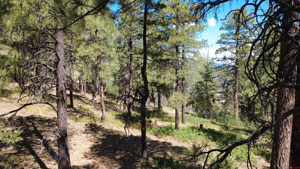 1203 Gun Barrel Road Pagosa Springs CO 81147
