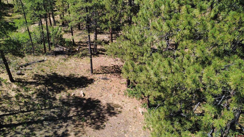 1203 Gun Barrel Road Pagosa Springs CO 81147
