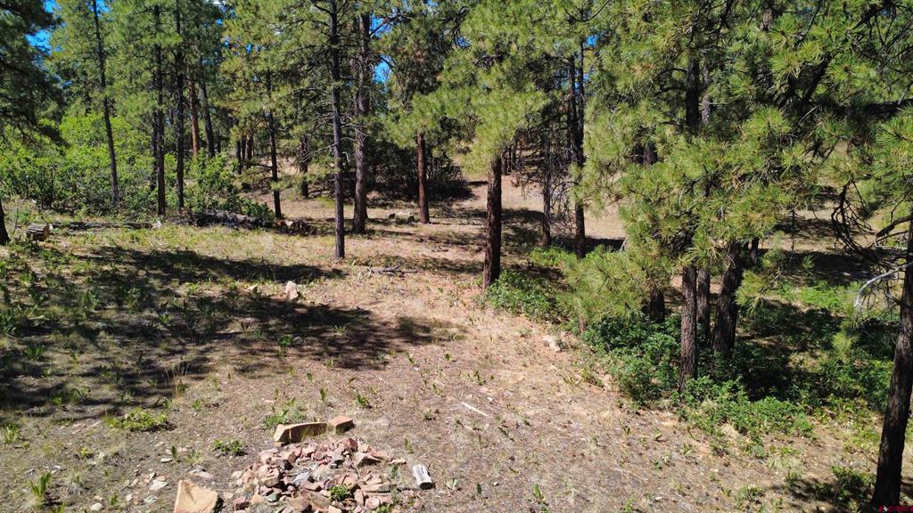 1203 Gun Barrel Road Pagosa Springs CO 81147