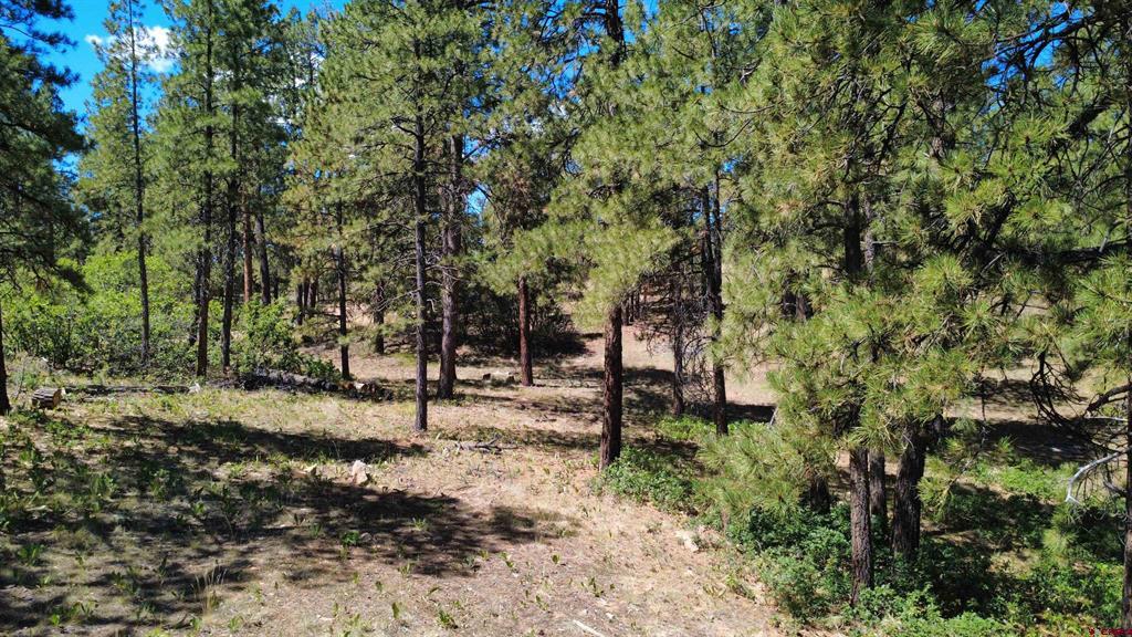 1203 Gun Barrel Road Pagosa Springs CO 81147