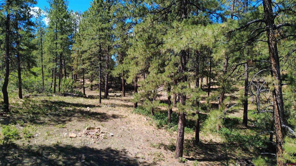1203 Gun Barrel Road Pagosa Springs CO 81147