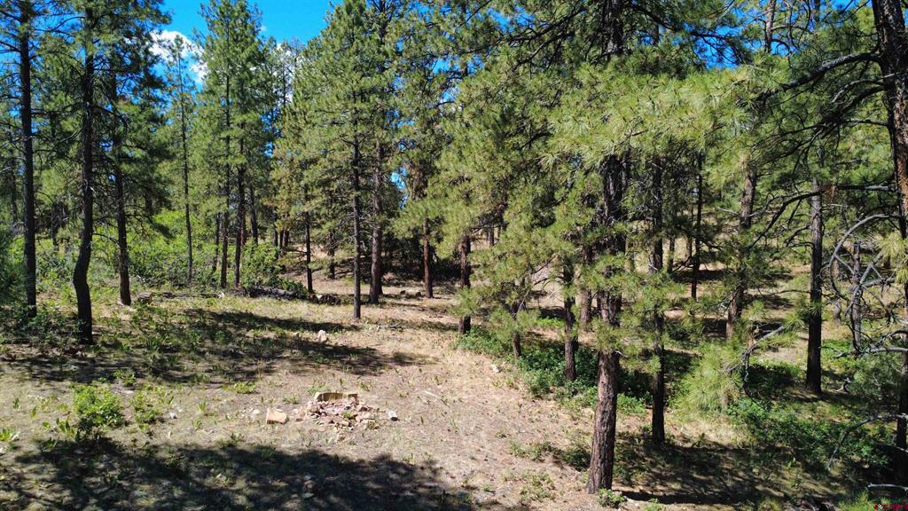 1203 Gun Barrel Road Pagosa Springs CO 81147