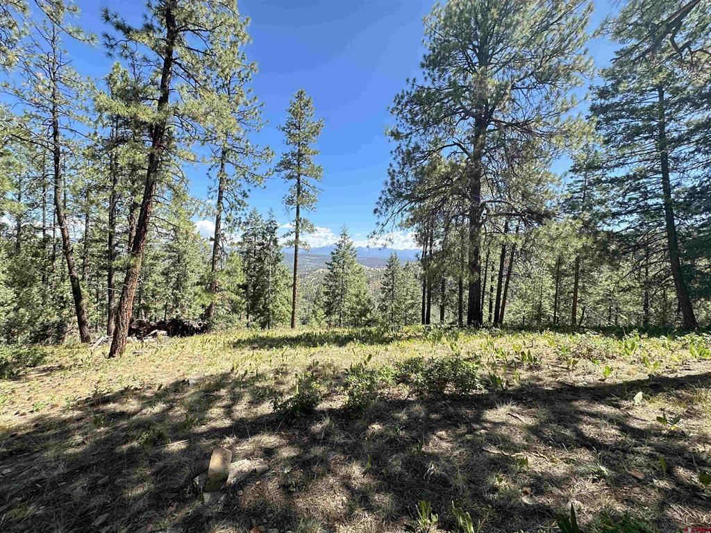 1203 Gun Barrel Road Pagosa Springs CO 81147