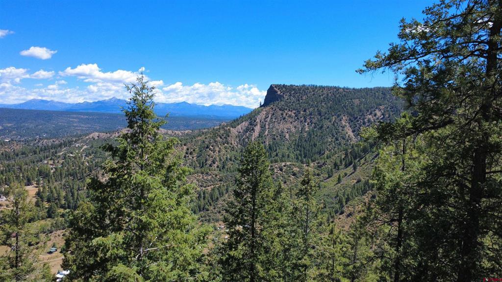 1203 Gun Barrel Road Pagosa Springs CO 81147